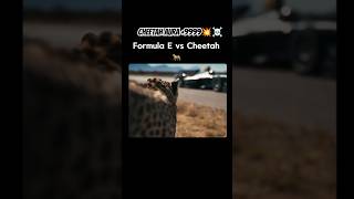 🤯Cheetah💥Aura❤️‍🔥After🥶Defeating🔥Formula E💀 viralvideo viralshorts shorts youtube youtubevideos [upl. by Ddat]