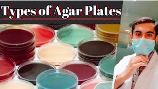 types of Agar Plate  Culture Plates  culture medias plates amp their uses  Agar Media  Agar plate [upl. by Anoyk962]