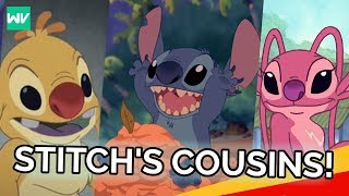 The History of All of Stitchs Cousins Discovering Disney [upl. by Aliac]