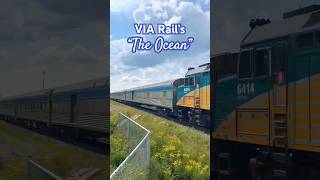 Moncton NB VIA Rail’s “The Ocean”  5 Aug 2024 Loooong Train viarail railways trains railfans [upl. by Domenech]