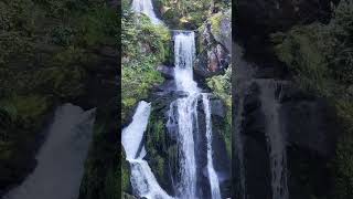 Triberg Wasserfall  Beautiful Schwarzwald 4K 4k nature travel germany schwarzwald [upl. by Iru]