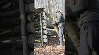 Quick build Dugout in Forest from Start to Finish Warm Shelter for Survival in the Wild Woods ASMR [upl. by Bellaude]