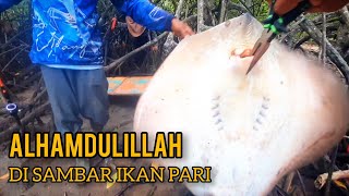 MANCING IKAN PARI DI MUARA PAKEK UMPAN UDANG [upl. by Ribak]