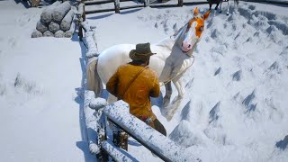 RDR 2  Arthur Morgan Caught Beautiful Mustang Horse [upl. by Constantia]