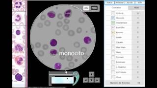 Cuenta de células sanguíneas Microscopio Virtual Hematología Frotis [upl. by Crowe462]