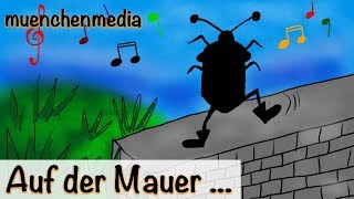 🎵 Auf der Mauer auf der Lauer sitzt ne kleine Wanze  Kinderlieder deutsch  muenchenmedia [upl. by Warram]