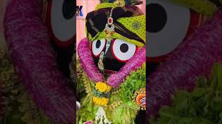 Jete Jauchi Mo Bayasa Gadi  new odiajagannathsong  jagannath bhajan status bhajans viralshort 🙏 [upl. by Eseneg]