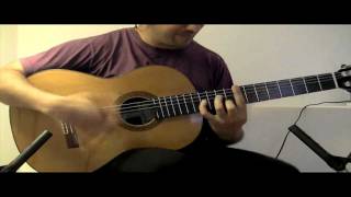 Harry Potter Hedwigs Theme por Buleria Flamenco Guitar [upl. by Joshuah]