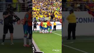 Brasil vs Colombia [upl. by Euqitsym297]