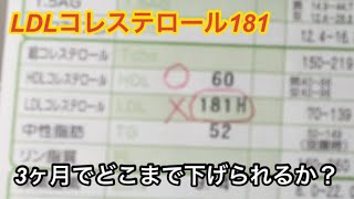 【新企画発表】LDLコレステロールを下げる【チャレンジ】3ヶ月でどこまでやれるか？ [upl. by Orecic240]