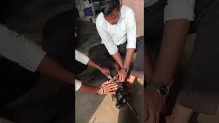 🤔Sunhash auto sarvie bhopathpur 🤔🧐automobile machanical sort voral video beloro pikap geyar box [upl. by Keriann528]