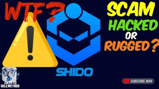 Time Sensitive Warning  Shido Network SHIDO HACKED or WTF Happened [upl. by Ileane]