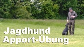 Jagdhunde  Apportieren  junger Deutsch Drahthaar [upl. by Anits]