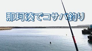 那珂湊でコサバ釣り【69秒】爆釣トリックサビキ【＃Shorts】茨城県釣り Japan’s Secret Fishing Videos [upl. by Ahtrim]