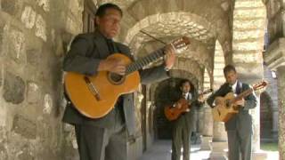 TRIO AYACUCHO  Huerfano pajarillo wayno [upl. by Aiel623]