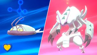 HOW TO Evolve Wimpod into Golisopod in Pokémon Sword and Shield [upl. by Araeit]