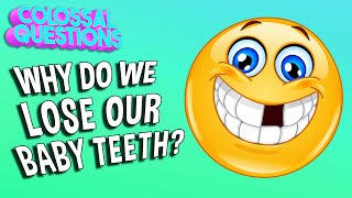 Why Do We Lose Our Baby Teeth  COLOSSAL QUESTIONS [upl. by Ansell]