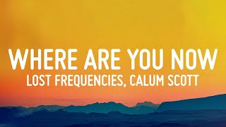 Lost Frequencies amp Calum Scott  Where Are You Now Lyrics [upl. by Anwaf]