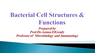 Microbiology 1  Lec 1  Bacterial Cell Structures and Functions [upl. by Franek]