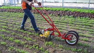 Terrateck  Double wheel hoe cultivator with finger weeder [upl. by Glassco858]