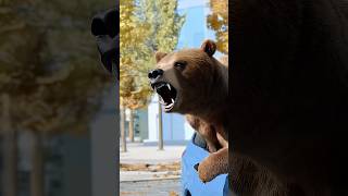 Bear Inside Car in Los Angeles [upl. by Alfred]