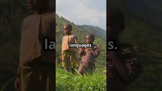 Discover Burundi 028 holidays motivation journey travel knowledge facts inspiration like [upl. by Dolph353]