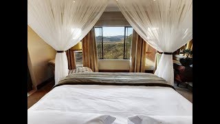 Shepherds Tree Game Lodge  Pilanesberg Game Reserve [upl. by Gaudette]