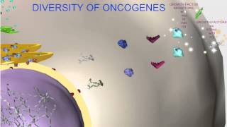 DIVERSITY OF PROTOONCOGENES CELL CYCLE amp CANCER [upl. by Ingrid]