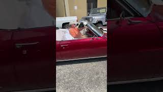 Cruisin the Coast 2024 Gulfport Mississippi subscribe hotrod classiccars [upl. by Danby]