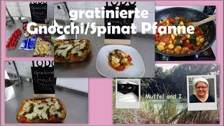 gratinierte Gnocchi Spinat Pfanne einfache und günstige Mahlzeit [upl. by Latreese503]