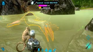 Ark Mobile How To Tame Quetzal No Whistle Command  NonStoppable  Quetzal Taming Ark Mobile [upl. by Kimmel]