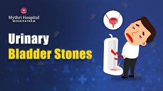 Symptoms of Urinary Bladder Stones Shorts [upl. by Ku]