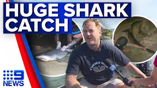 Two locals reel in mammoth bull shark from Gold Coast lake  9 News Australia [upl. by Edwin]