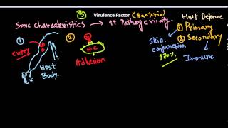 Virulence factors of bacteria [upl. by Solim469]