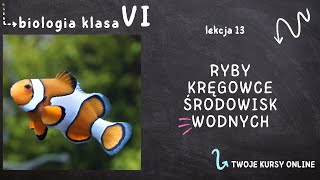 Biologia klasa 6 Lekcja 13  Ryby  kręgowce środowisk wodnych [upl. by Almeda]