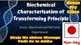 Biochemical Characterization of transforming principle Class 12 Molecular basis of inheritance [upl. by Aneliram]