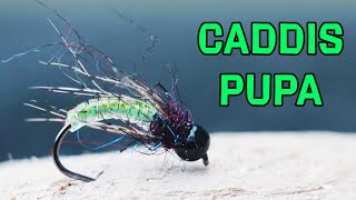 Caddis Pupa Fly Pattern Fly Tying Tutorial [upl. by Einhorn738]