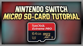 How to Use a Micro SD Card on The Nintendo Switch Simple Tutorial [upl. by Helfand]