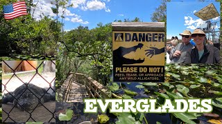 Beautiful Florida Everglades Boat Ride Walking Tour Joanie’s Blue Crab [upl. by Aratal]