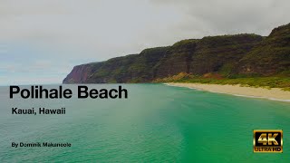 Polihale Beach Kauai Hawaii 2021 [upl. by Pell]