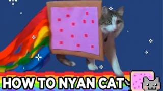 HOW TO NYAN CAT [upl. by Mcclees943]