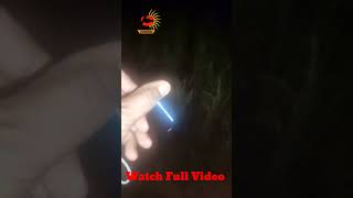 MZ M212 best mini torch under 150 ₹ metal body mz minitorch minitorch flashlight ytshorts [upl. by Niffirg]