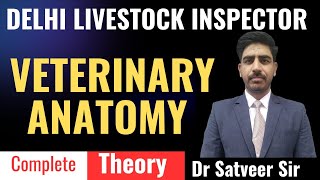 livestock inspector 2024  Veterinary Anatomy  DSSSB livestockinspector previousyearquestions [upl. by Raphael656]