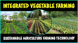 Integrated Vegetable Farming System  Horticulture [upl. by Adnertal961]