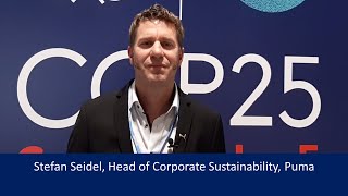 COP25 video interview with Stefan Seidel Puma [upl. by Herbie]