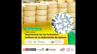 Importancia de los fermentos lácticos en la elaboración de quesos 25042024 [upl. by Grew]