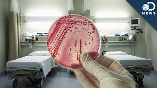 Why Superbugs Thrive In Hospitals [upl. by Reinke809]