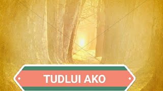 TUDLUI AKO with lyricsVisayan Worship Songs [upl. by Nitz221]