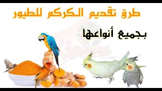 فوائد الكركم التومريك للطيور وطريقة تقديمه للطيور [upl. by Yntirb]