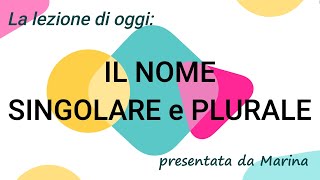 IL NOME SingolarePlurale  Videolezione per la classe PRIMA della scuola primaria [upl. by Adnuhsor169]